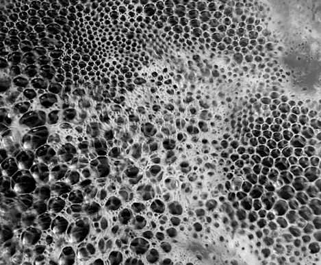 Densely packed bubbles in foam with increasingly polygonal cell boundaries
